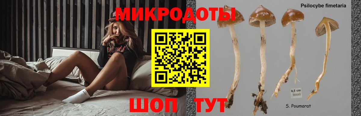 Псилоцибиновые грибы мицелий Татарск